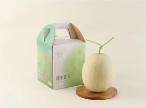 晨照溫室網紋洋香瓜禮盒(晨照商行)