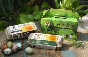 歌珊園野友善雞蛋+彩色雞蛋/箱(桂園農場)